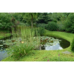 Bordure De Jardin Nature Borderfix Pour Courbes- H 14 Cm X 25 M - épaisseur 6 Mm -Lafumaei Boutique bordure de jardin borderfix rouleau 15m etang min 1